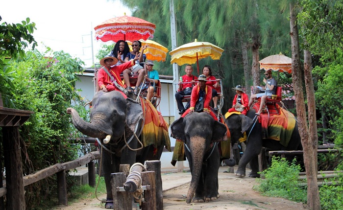 Làng voi Pattaya Thái Lan